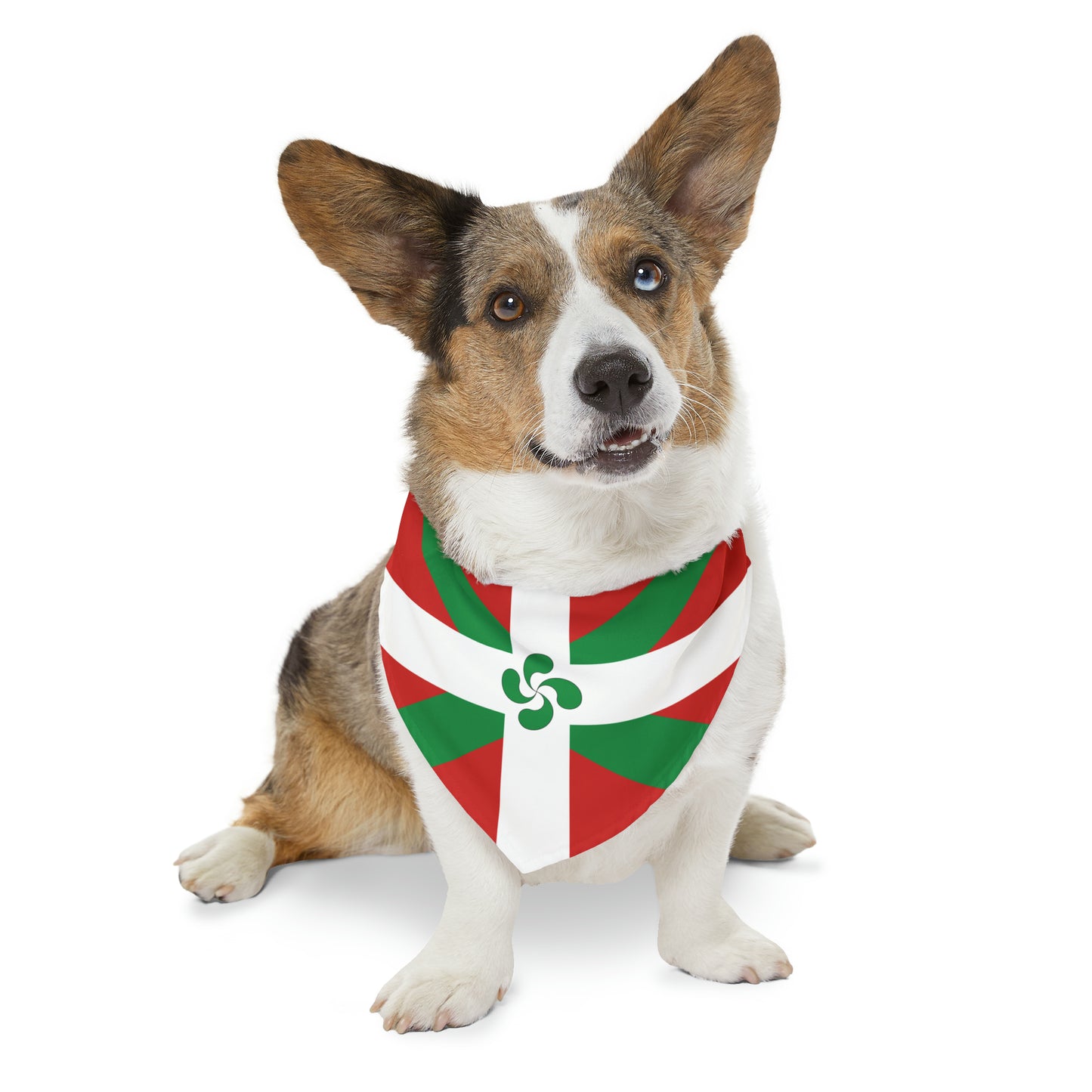 Basque Flag Pet Bandana Collar