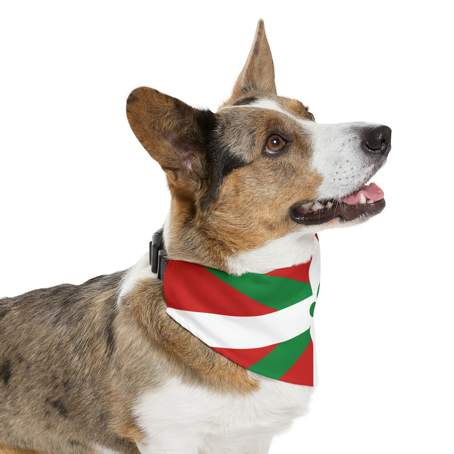 Basque Flag Pet Bandana Collar